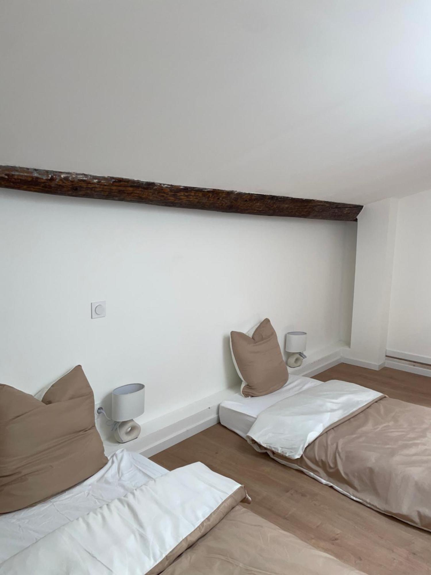 Apartamento Duplex Raffine, Elegant & Climatise - La Mezz Nimes Exterior foto
